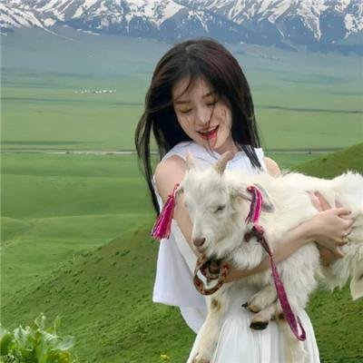 电影之爱：美国电影批评史